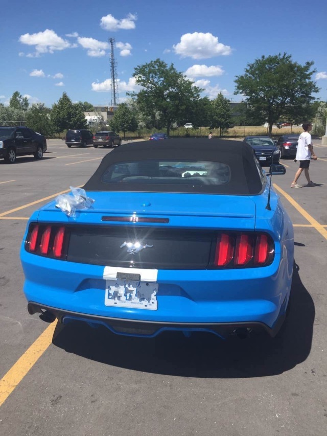 cd8c9af036646c12aa3cf1738360c648.jpg@!64