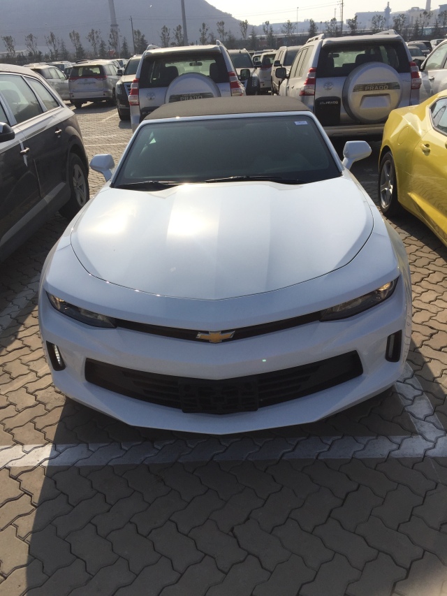 96e9d74310c82bcf7dc298ca6264c608.jpg@!64