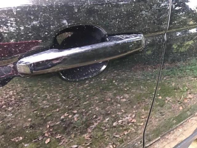 091bbde84cf376e972e1fb1e82abbabf.jpg@!64