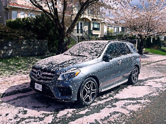 df9e9b4ddd5bd10e137b7c6da0e54558.jpg@!64