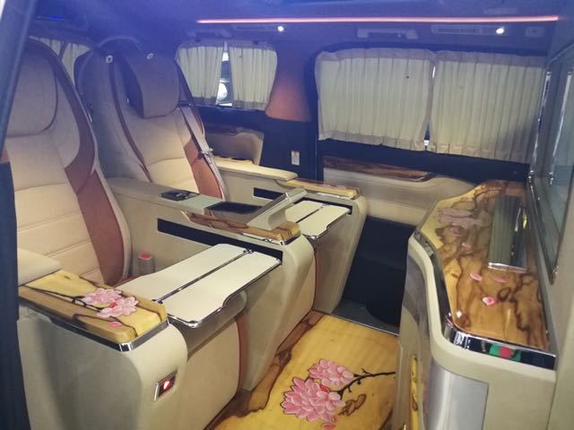 18款 埃尔法 3.5 两驱顶配 蒙娜丽莎樱花版 私人