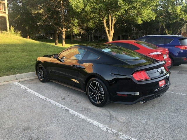 12260fbf2721091402cff6586347e157.jpg@!64