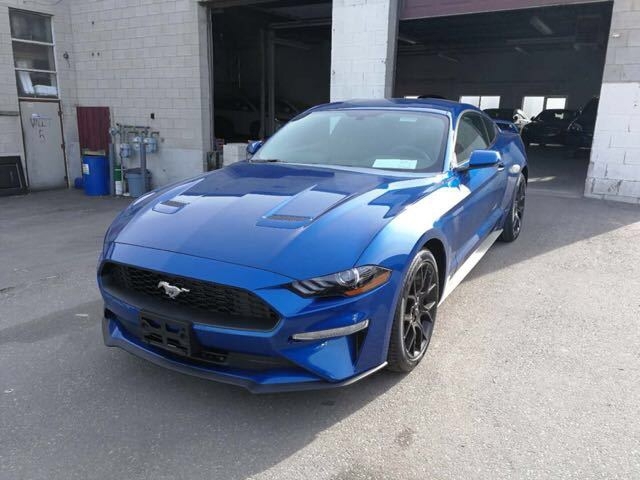 22ffbb3a301ba49f9ebdde33acd21cc2.jpg@!64