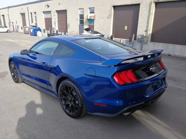 44d622689b56c4bdc8a1d89cfadb6581.jpg@!64