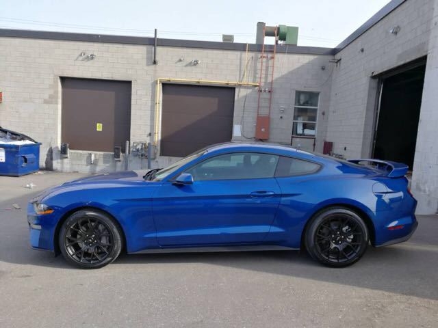 f59cbffa70e81d03b9b74bbf14af416d.jpg@!64