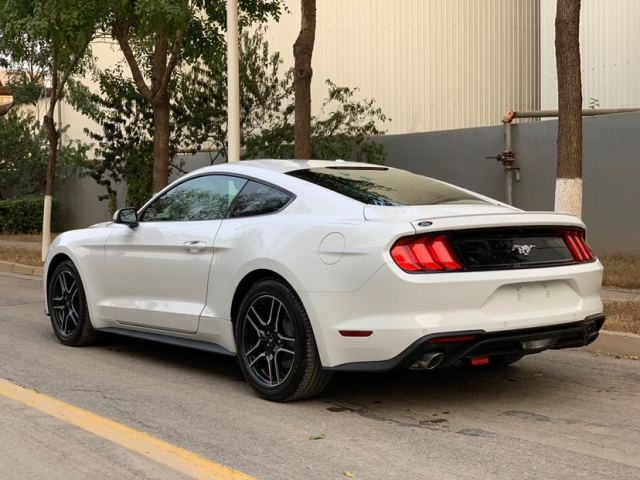 700165bbfbe7579621ada323b6c47fb9.jpg@!64