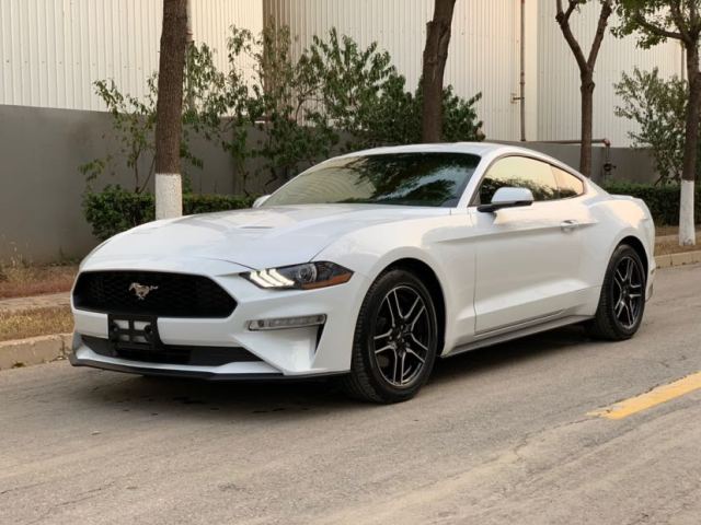 d9c7a57197bd1f2ebf3d79114d95f363.jpg@!64