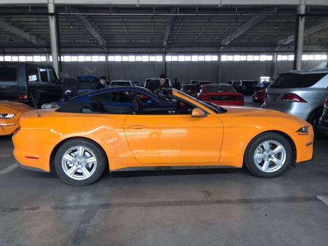 56955a641c1f3444f35511aa0d31bc06.jpg@!64