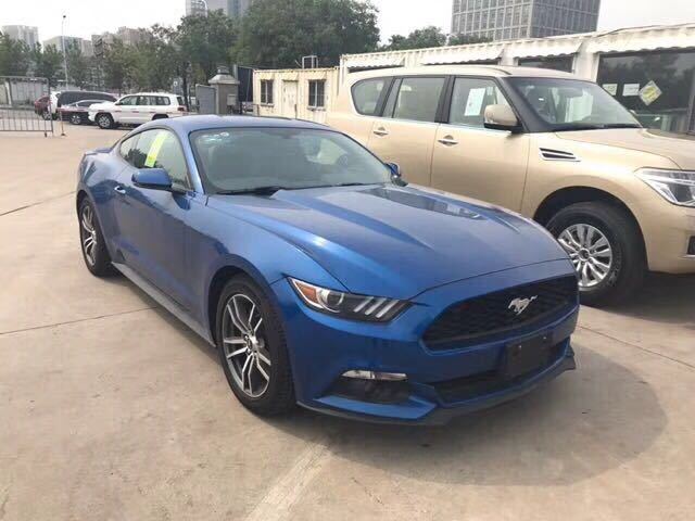 8584b30125deb080e87e8d3471fba47d.jpg@!64