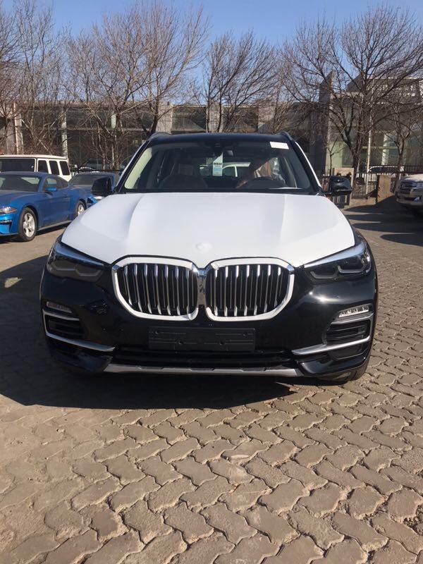 2019 X5 XDriv40i ׼  ж