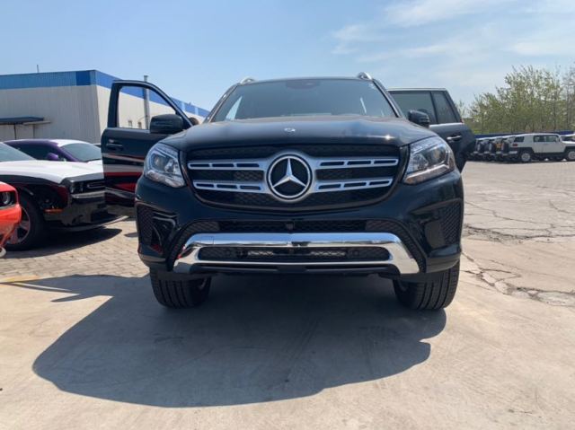 2019 GLS450 P01 ۰ 