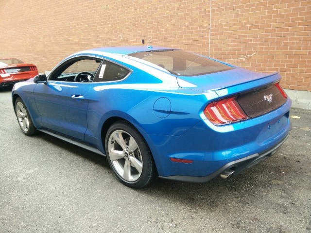 20191c4f28d7beed5f1b9a395fc0a03d.jpg@!64