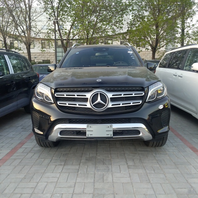 2019 GLS450 P01 ƹ 