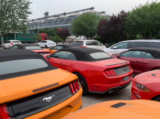 7befe133a9b21242a30c1b8a845d2acf.jpg@!64