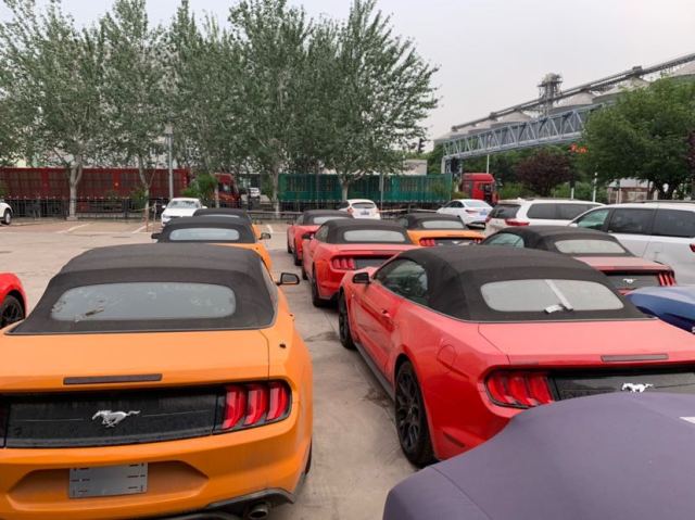 b4d07cddda9eb8b8442d0dfbf8dc731c.jpg@!64