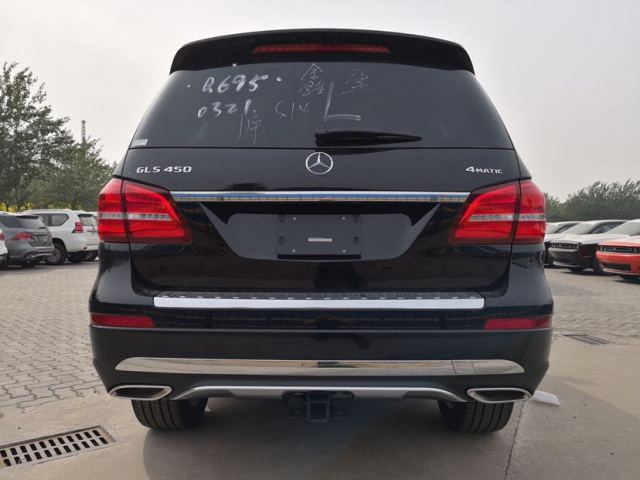 2019 GLS450 P01 ۰ ƹ 