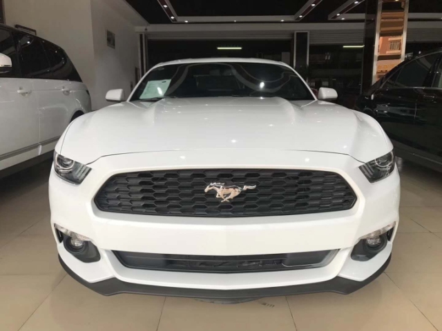 9a47938cb85fc5c875cd109c7e0df94e.jpg@!64