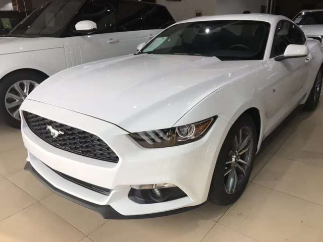 a531c83487d36f3f531b89b259c94b81.jpg@!64