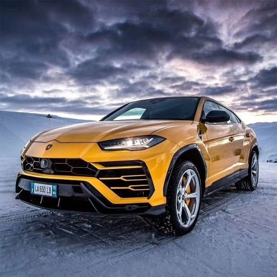 2019 Urus 4.0T V8 ŷ