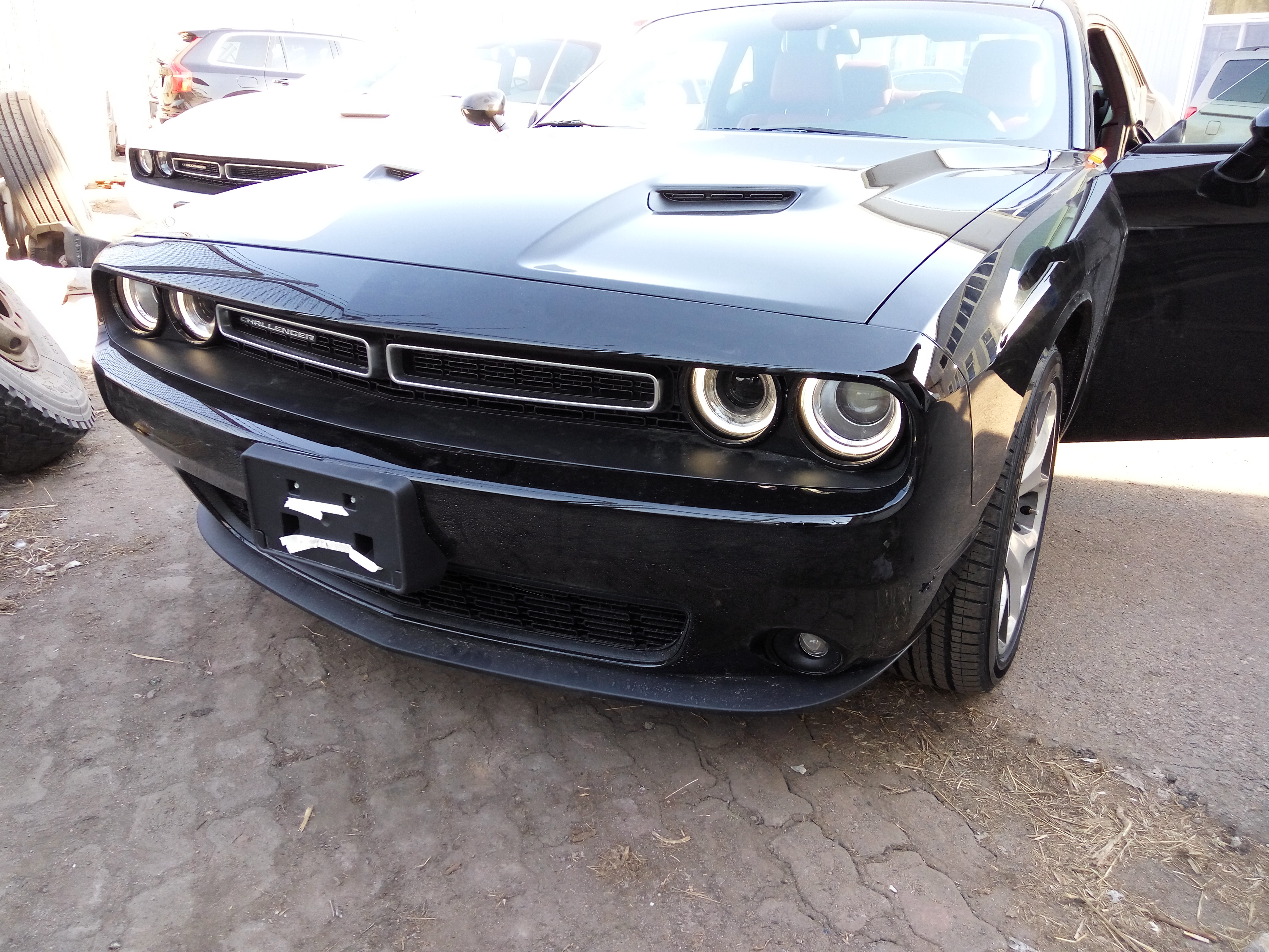 挑战者道奇多少钱一辆 c2110eefdf93c9bb9f6e59f59e5d595f.jpg