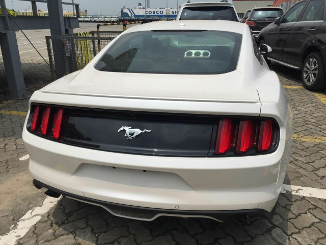 17款福特野马 让利酬宾直降五万抓紧抢购_mustang_天津滨海车市-网上