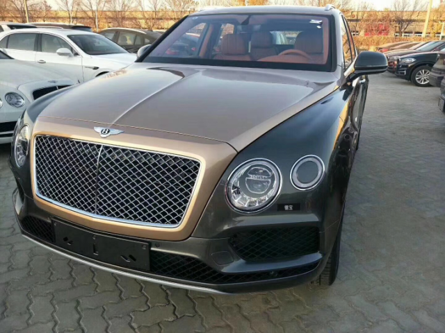 世间奇境万千,汽车也不例外.宾利家族首创顶尖奢华suv——宾利添越.