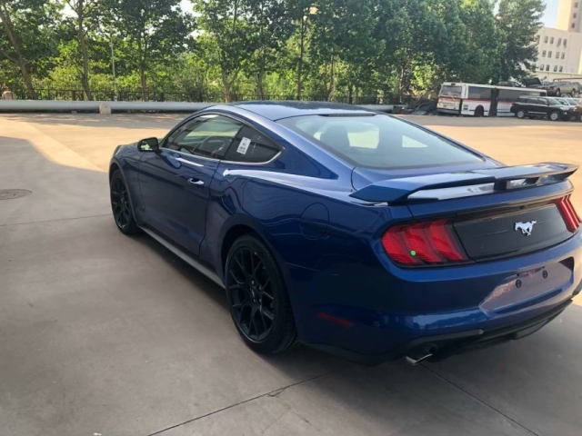 3t 美系 小跑三剑客之一  18款野马,三幅方向盘直径很大,握在手里就会