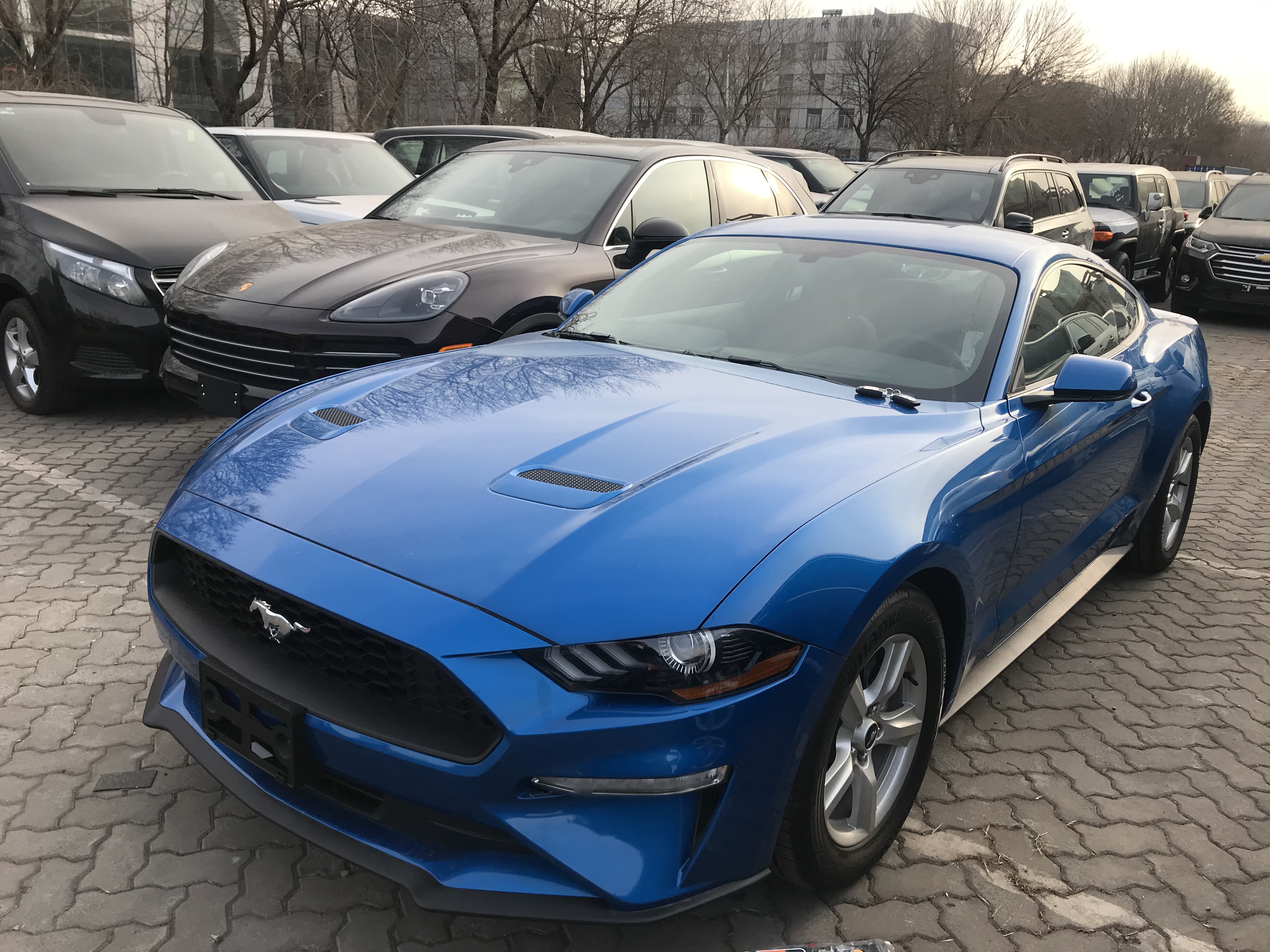 19款福特野马激情原动力 港口现车 手续齐