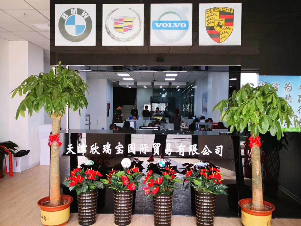 天津欣瑞宝国际贸易有限公司