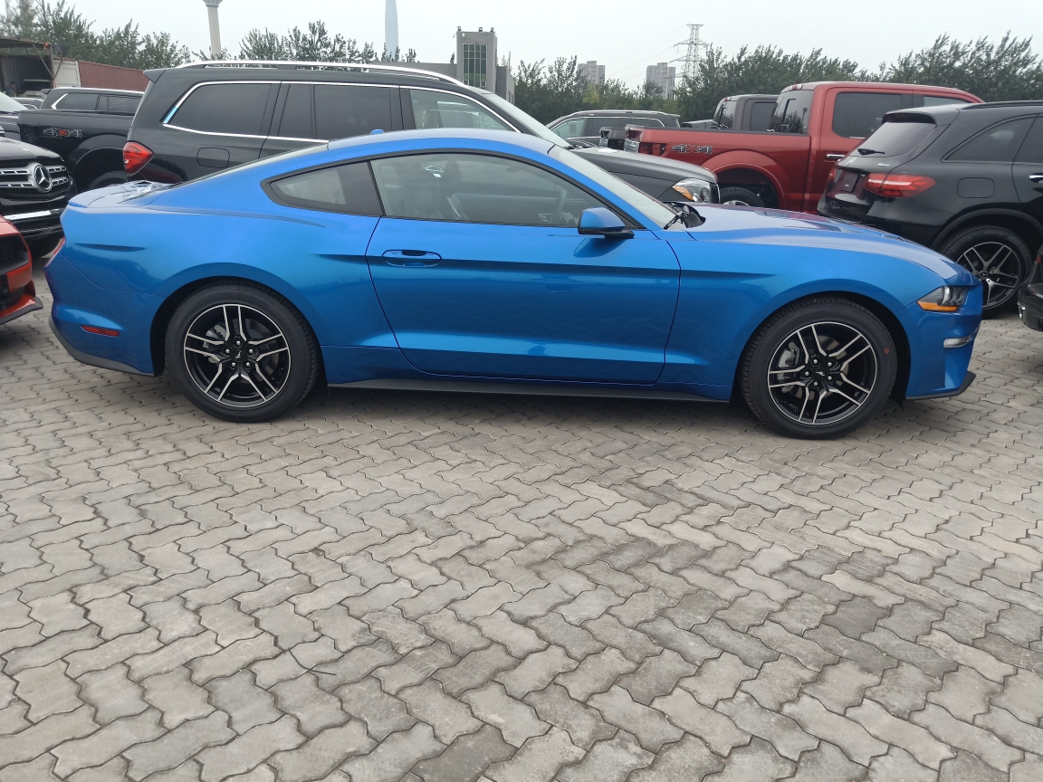 野马有着他独特的魅力,彪悍硬派的美国车前脸一定是方头,并且一定要