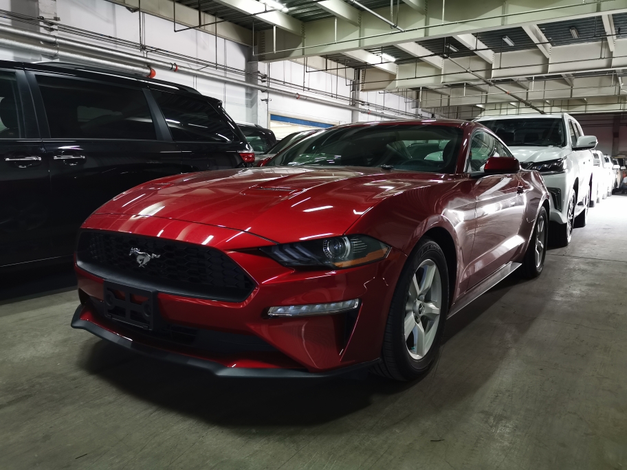 19款野马天津现车强劲动力 帅哥美女专属