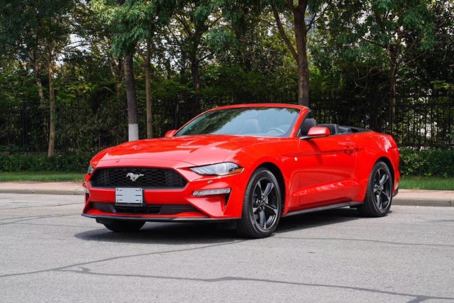 中型车 中大型车 大型车 跑车 suv mpv 新能源       19 款福特野马