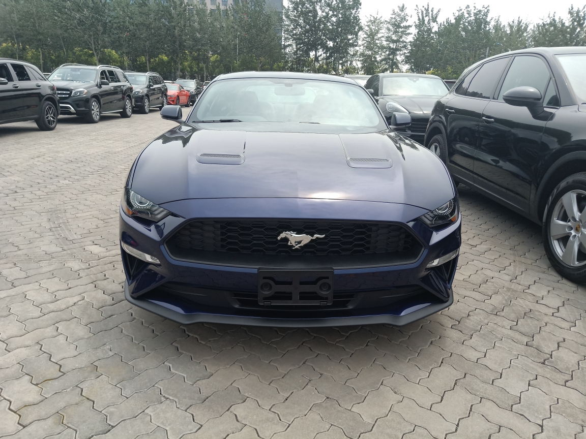 19款野马天津现车颜色齐全 全系最低报价