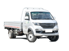 2021款  1.6L标准型CNG 100L SWDC16M