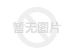 Ouba 21款 2.8T客车长轴14座